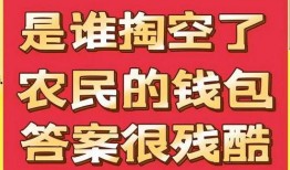 爆料新闻开心时刻图片大全,揭秘开心时刻图片大全背后的欢乐故事